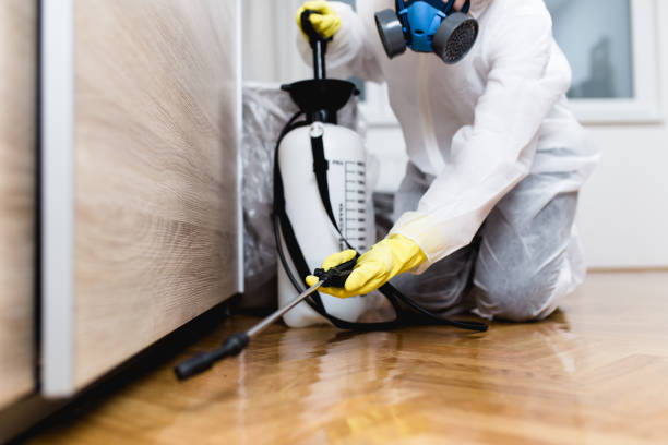 Best Affordable Exterminators  in Armonk, NY