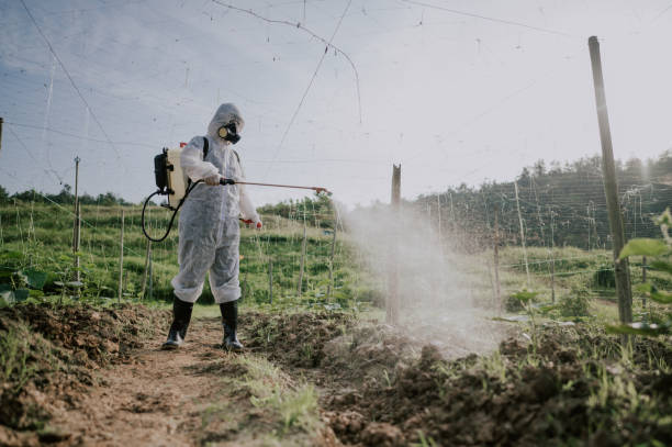 Best Best Pest Control Companies  in Armonk, NY
