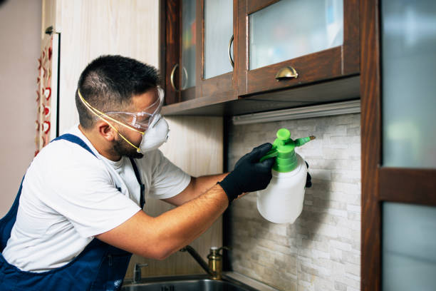 Best Pest Control for Businesses  in Armonk, NY