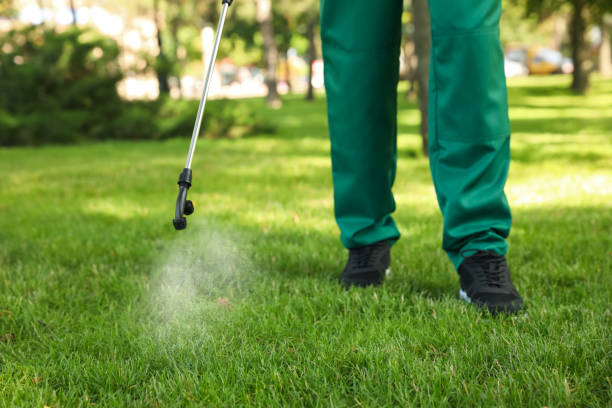 Flea Control Services in Armonk, NY