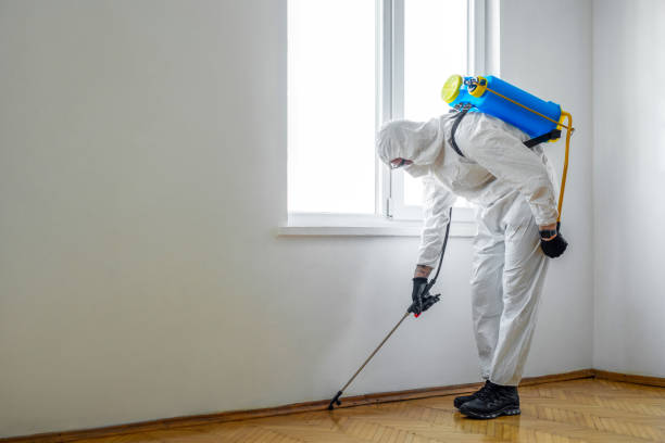 Best Affordable Pest Control Services  in Armonk, NY