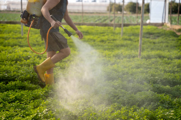 Best Pest Prevention Services  in Armonk, NY