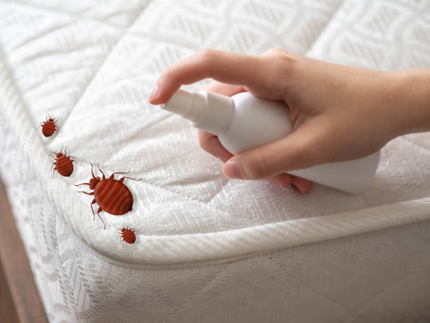 Best Commercial Pest Control Services  in Armonk, NY