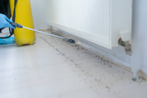 Professional Pest Control in Armonk, NY