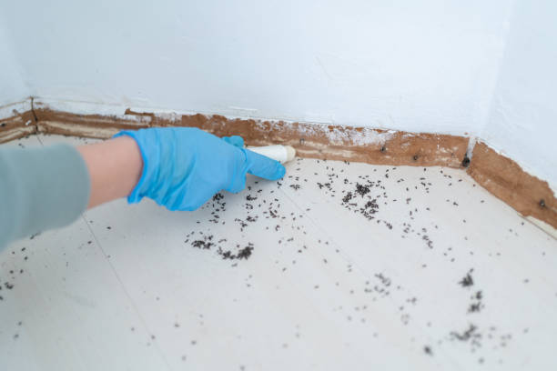 Best Exterminator Services  in Armonk, NY